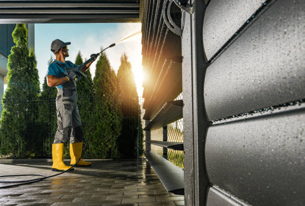 Best Roof Pressure Washing  in Necedah, WI